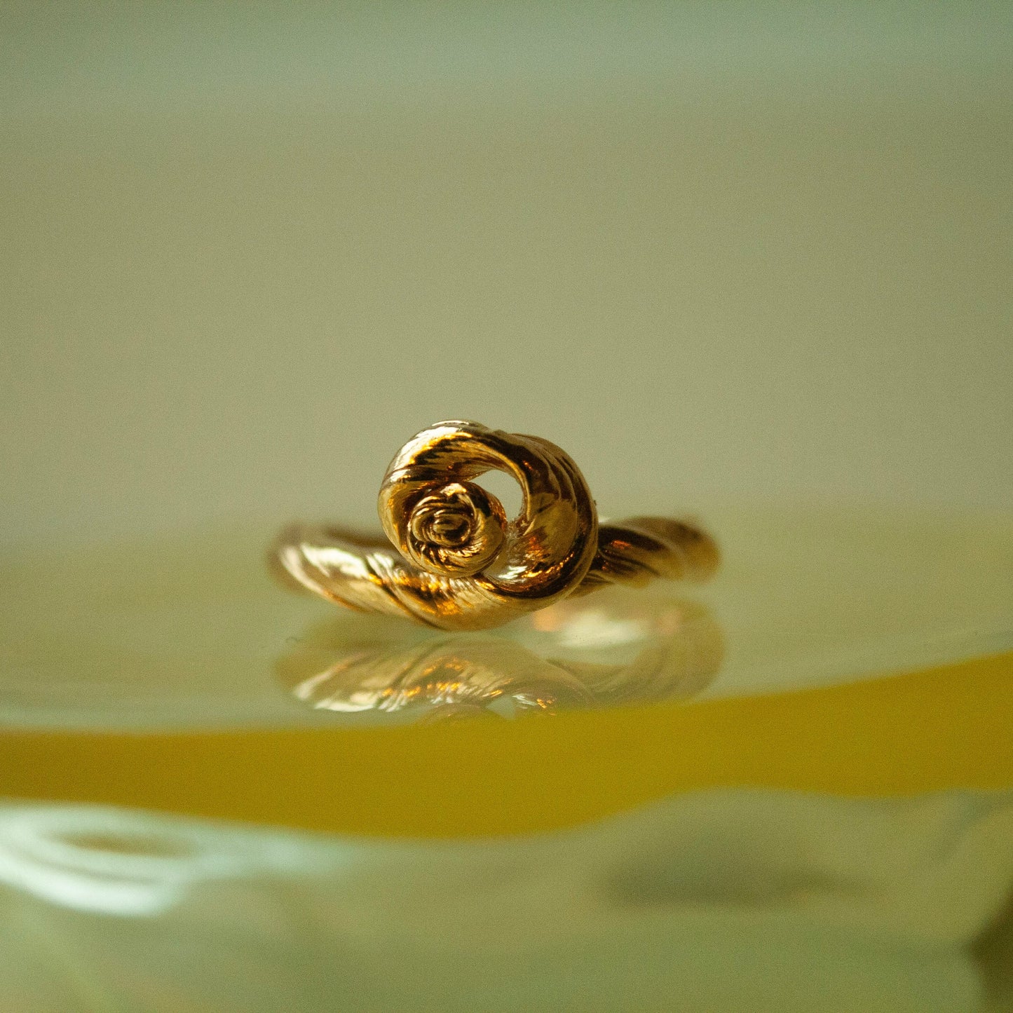 Tiny Root Tumble Unika Ring (Str. 46) - Forgyldt