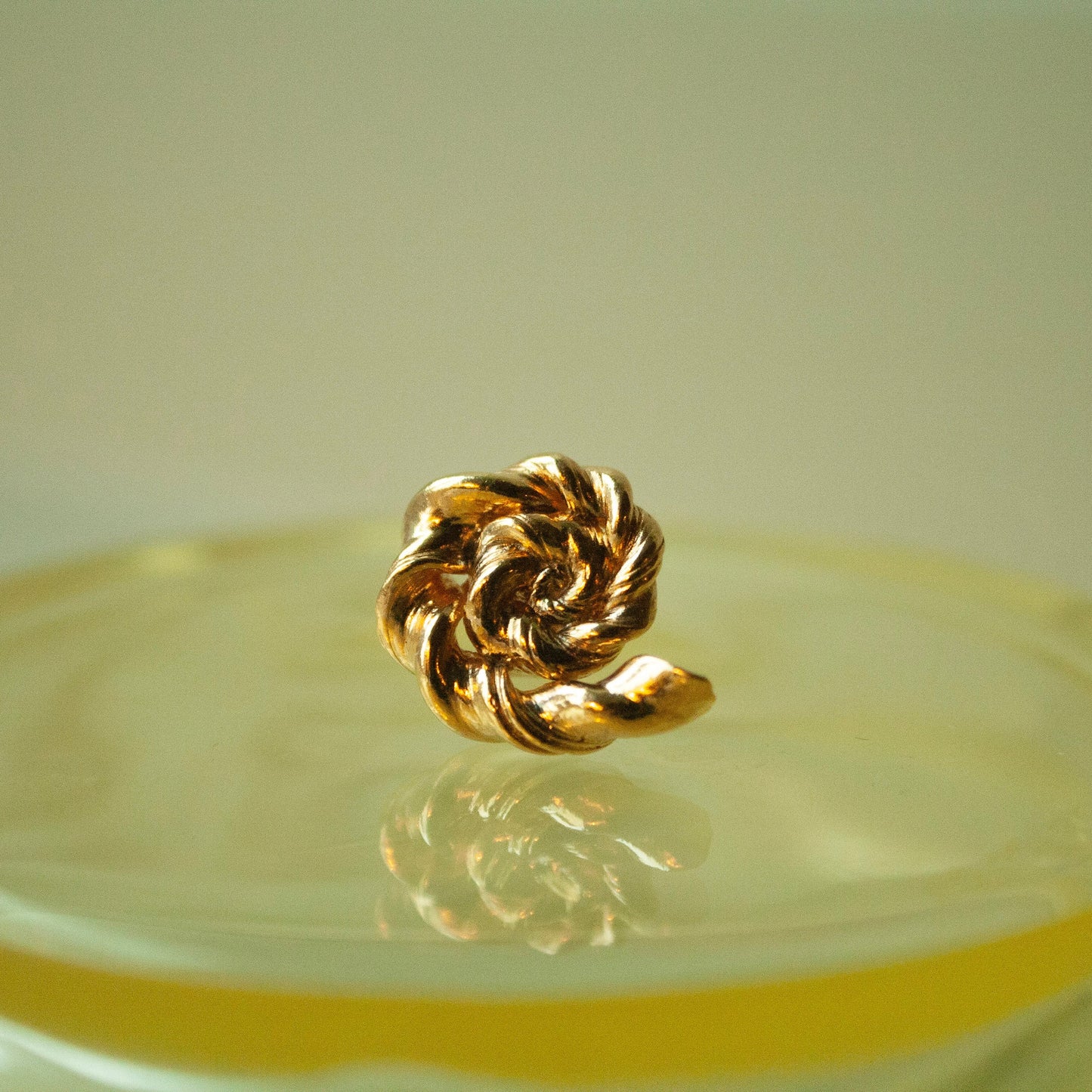 Golden Ammonite single Unika Ørering - Forgyldt